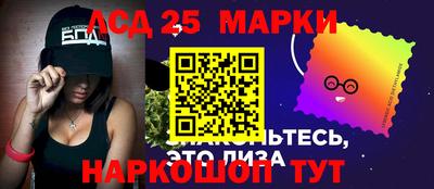 apvp Кингисепп