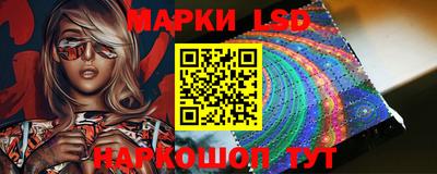 apvp Кингисепп