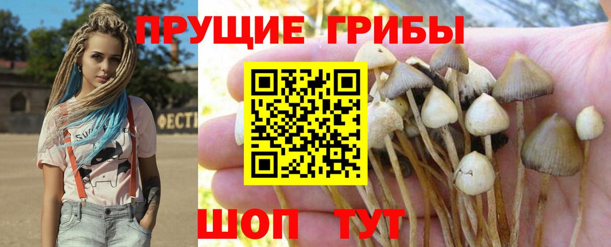 Псилоцибиновые грибы мухоморы  Вход с VPN  Югорск 